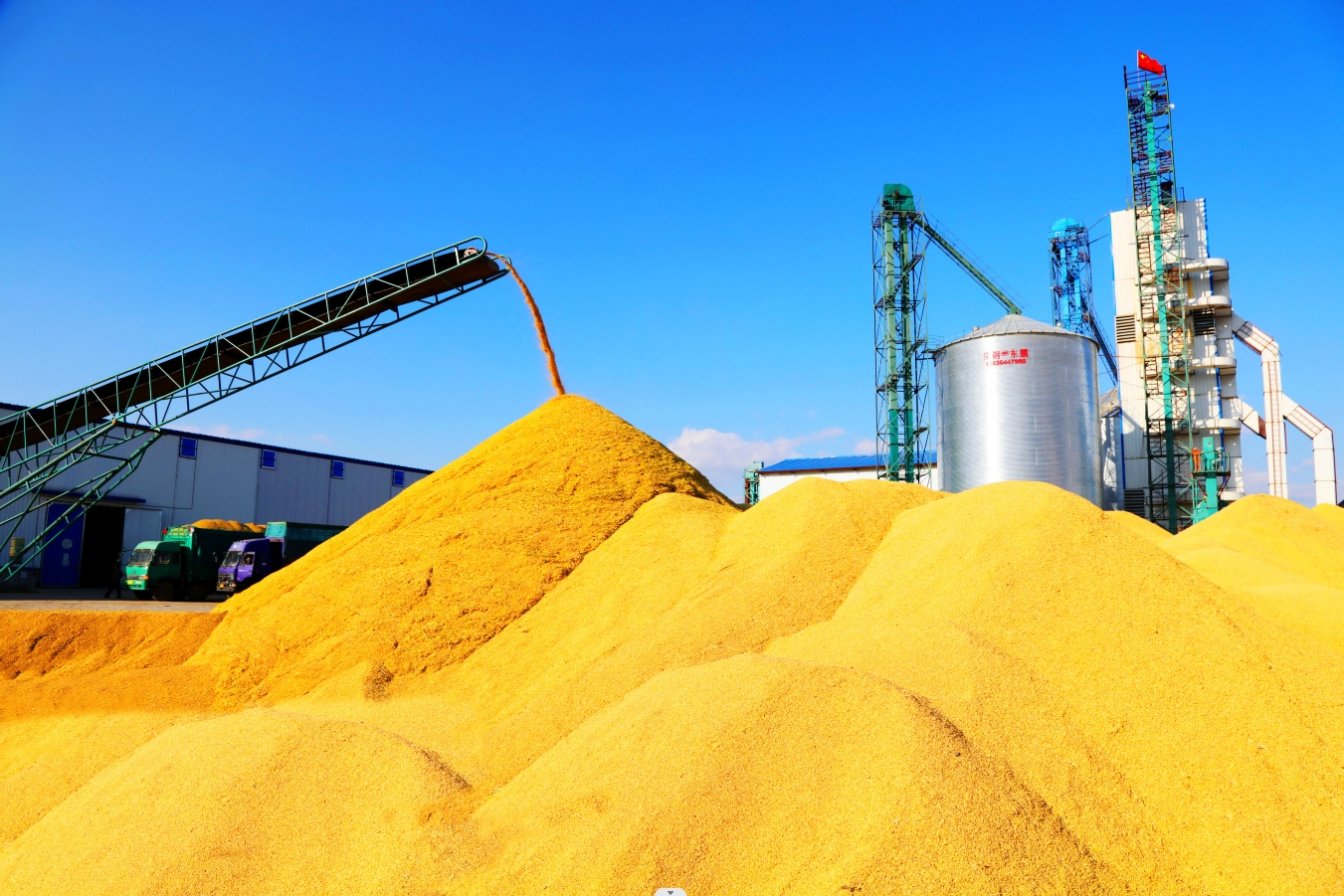 粮仓好"丰"景|农业大省黑龙江秋收生产全面结束_央广网