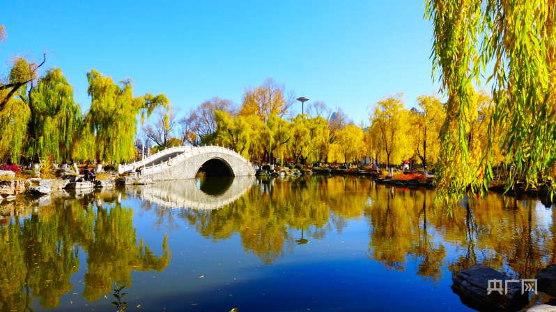 【秋色中国】青海西宁：满园秋色入画来完美电竞(图2)