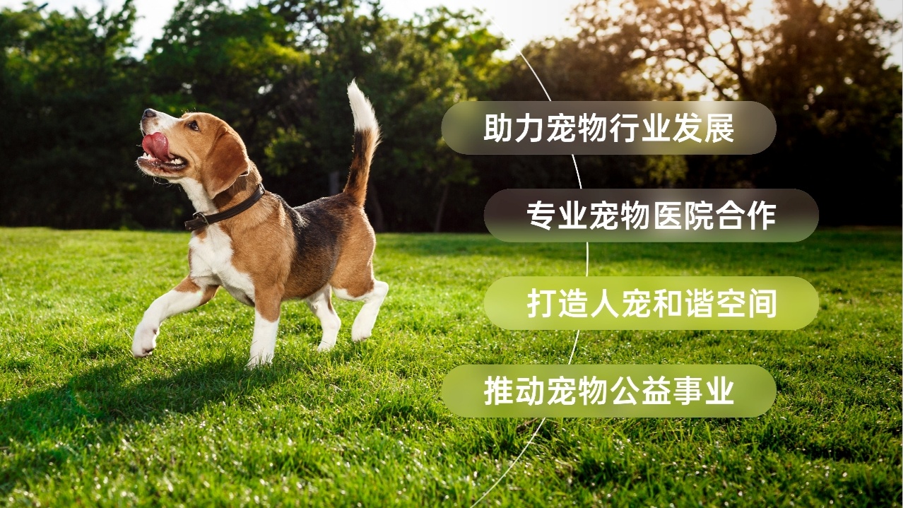 宠物“社区义诊行”公益活动杭州站即将启动