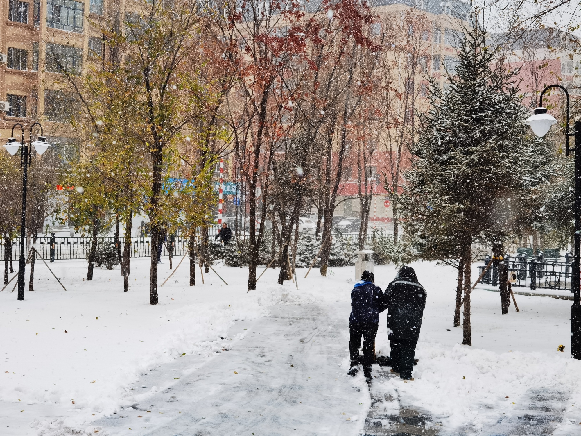 组图直击大暴雪黑龙江哈尔滨鹤岗等多地降雪猛烈