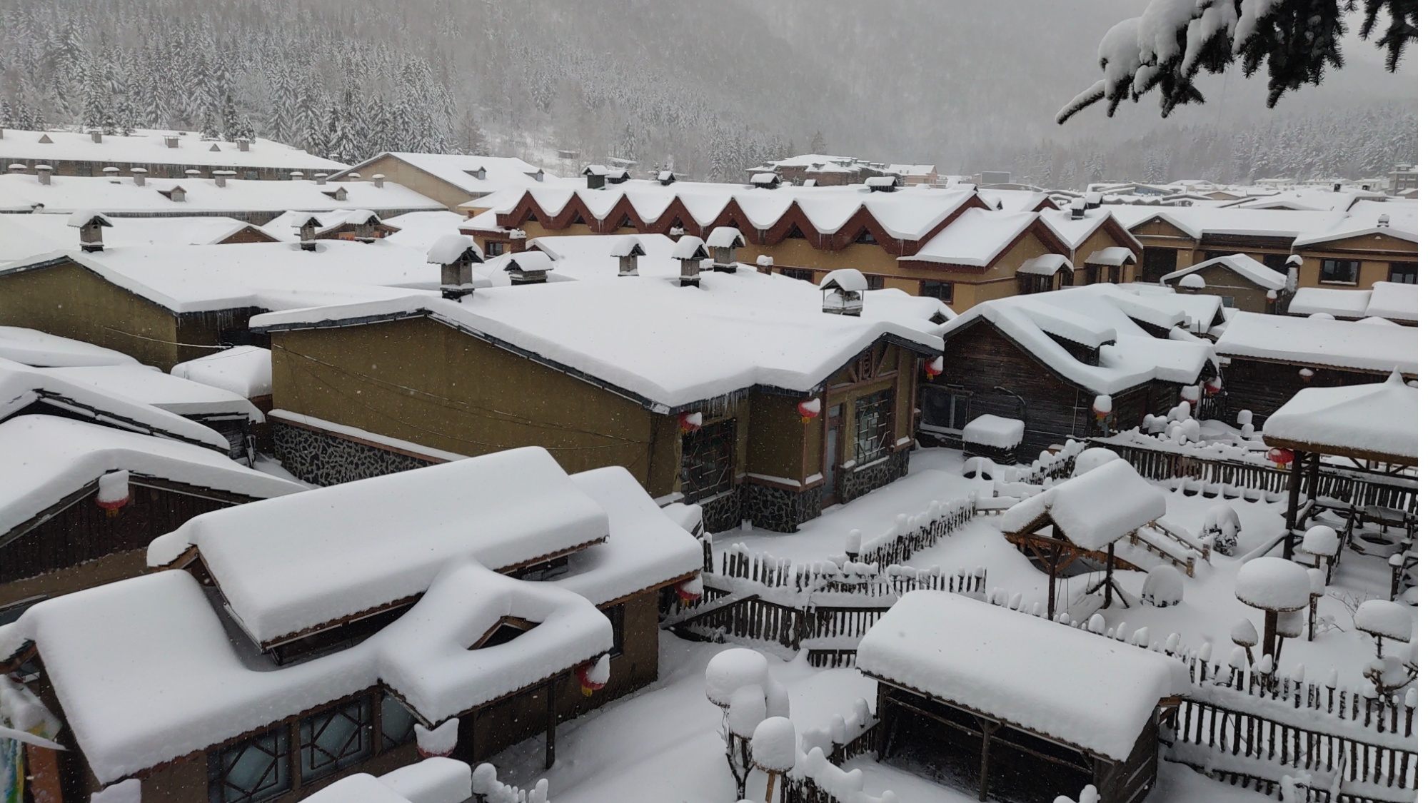 中国雪乡景区11月10日正式开园_央广网