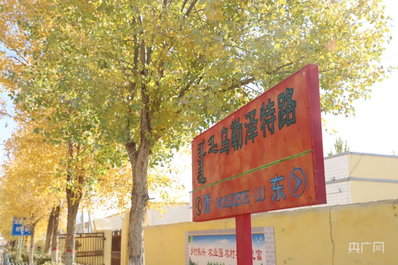 和硕:打造美丽乡村 加快卫生县城创建_央广网