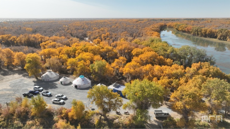 随着新疆轮台县草湖乡地区胡杨林旅游景点知名度的提升,不仅吸引了八