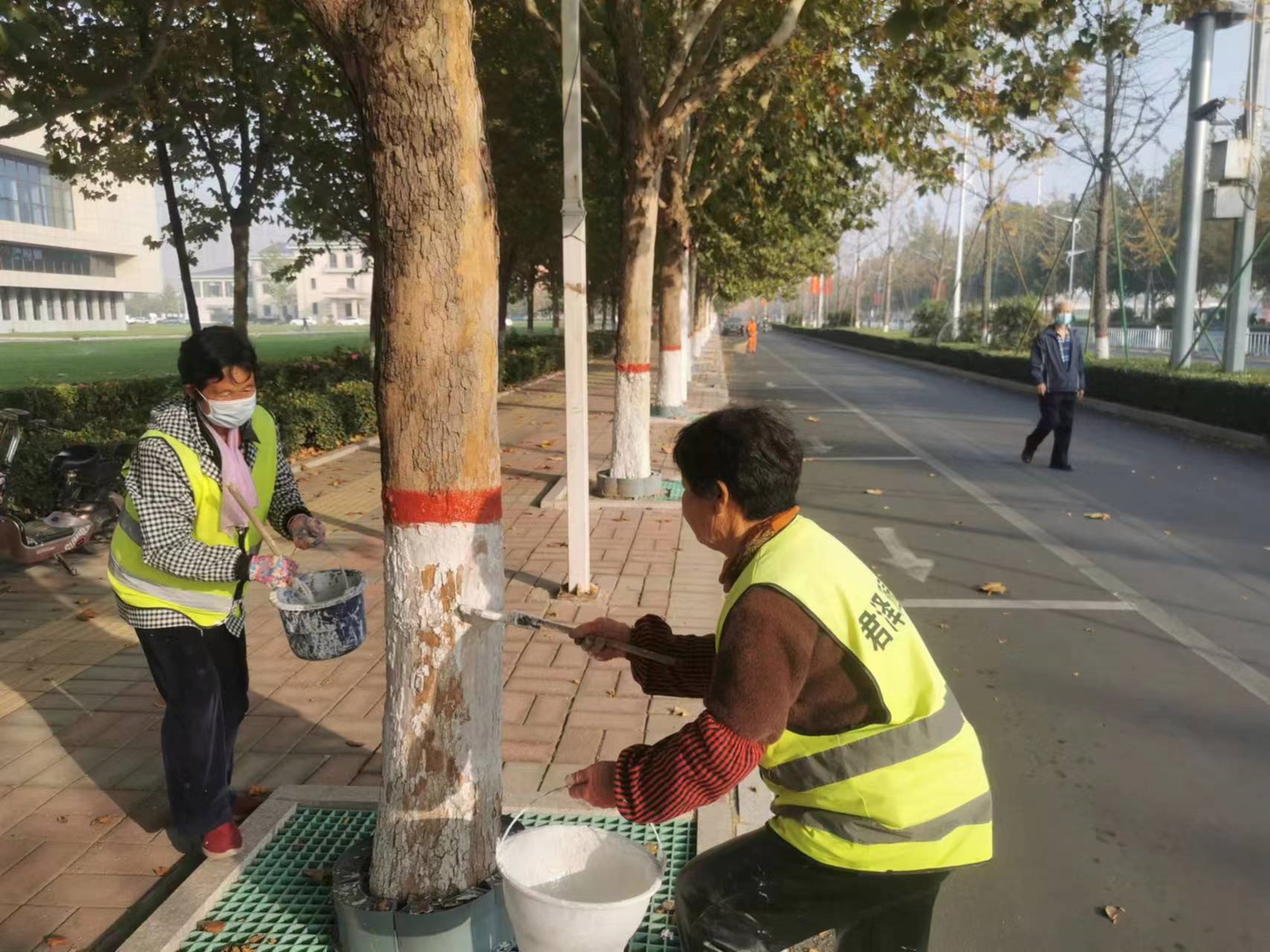 完美电竞河北安国：树木涂白加“新衣” 精细养护正当时(图2)