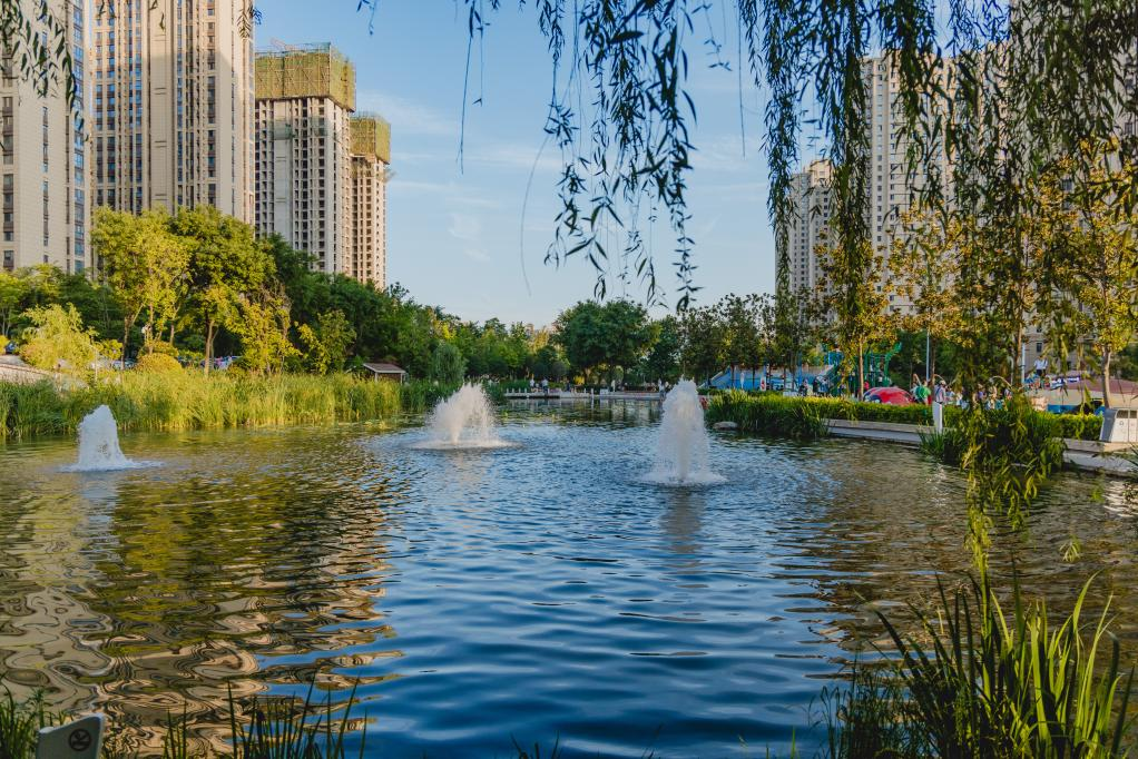 西安市长安区皂河变身公园美绿水青山入画来