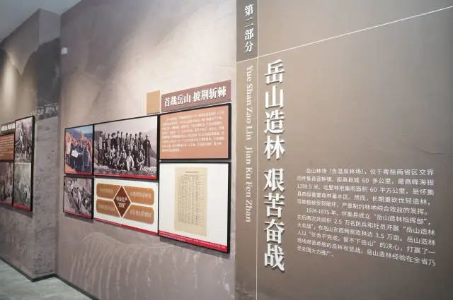 走近岳山造林大会战历史