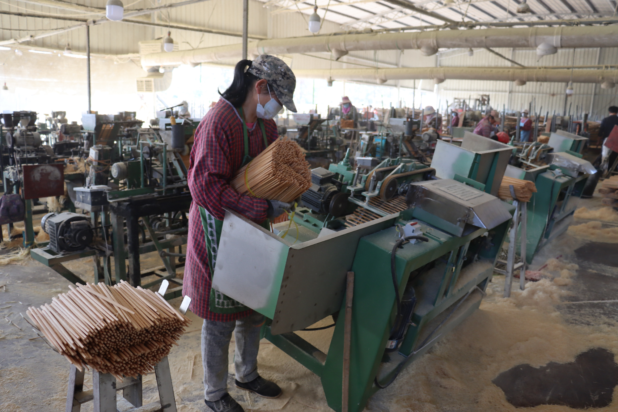 湖南新邵南竹变身富贵竹
