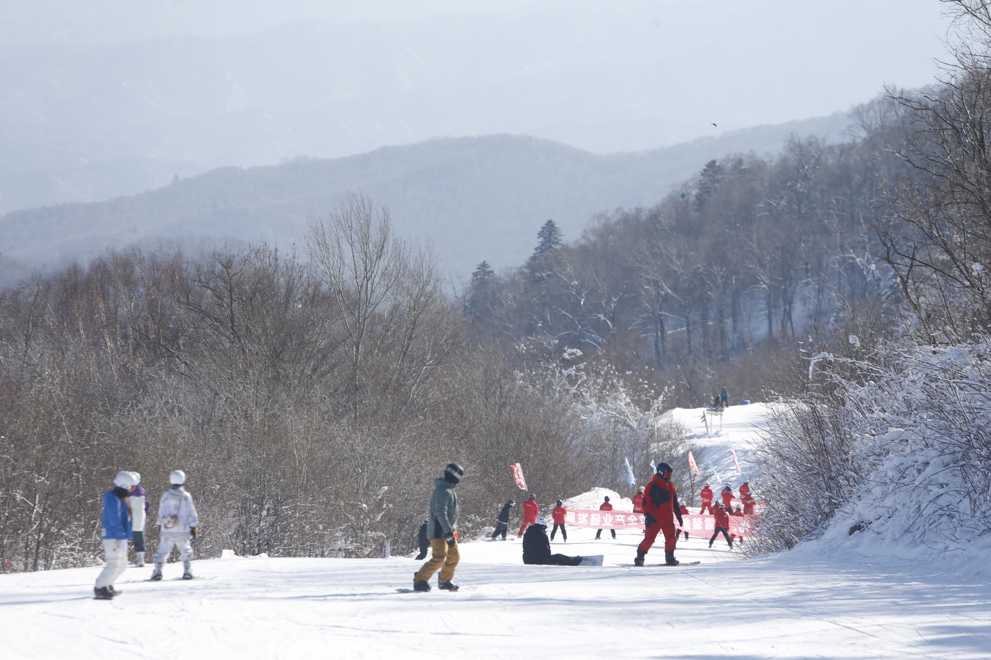 约会哈尔滨·冰雪暖世界丨哈尔滨这个冰雪季等你来解锁！