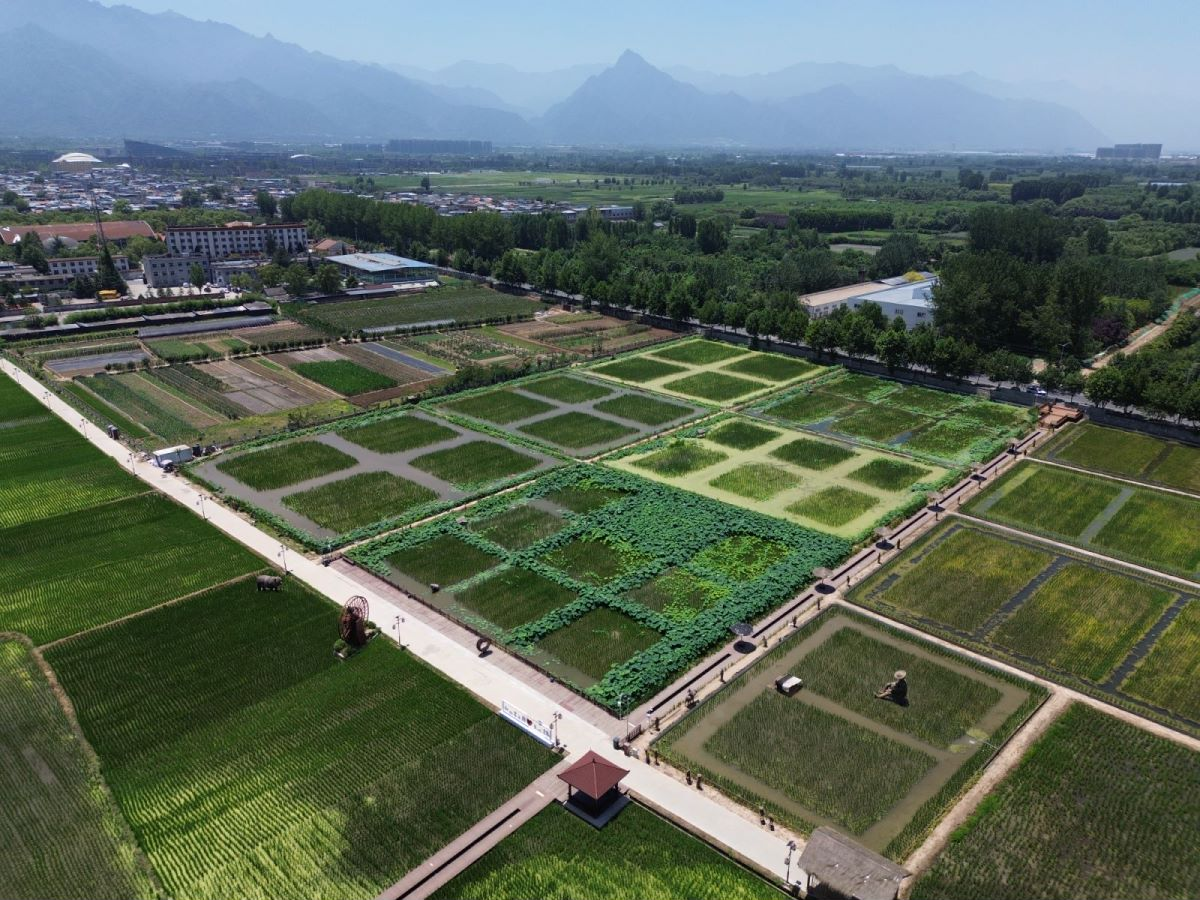 西安高新区全力打造宜居宜业和美乡村