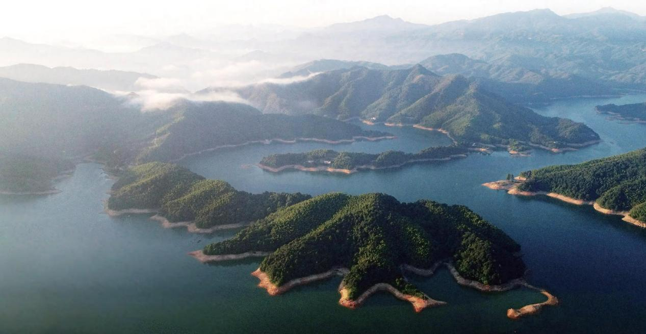 安徽金寨县油茶秋收取得阶段成果东旭大别山助力消费品质升级