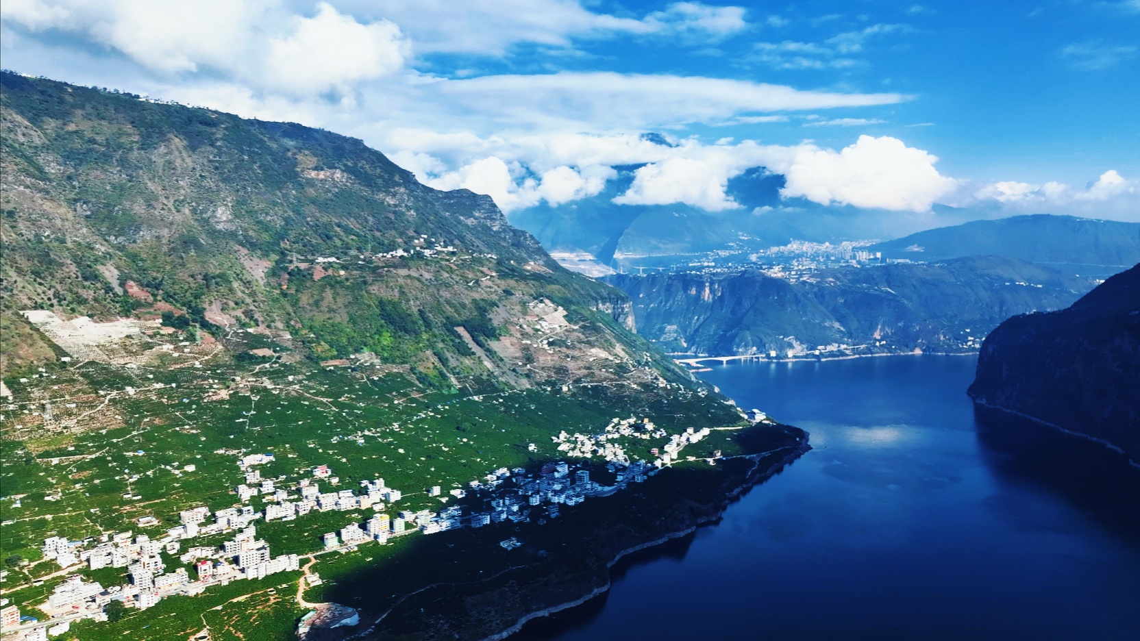 统一上市四川凉山雷波脐橙甜蜜开园