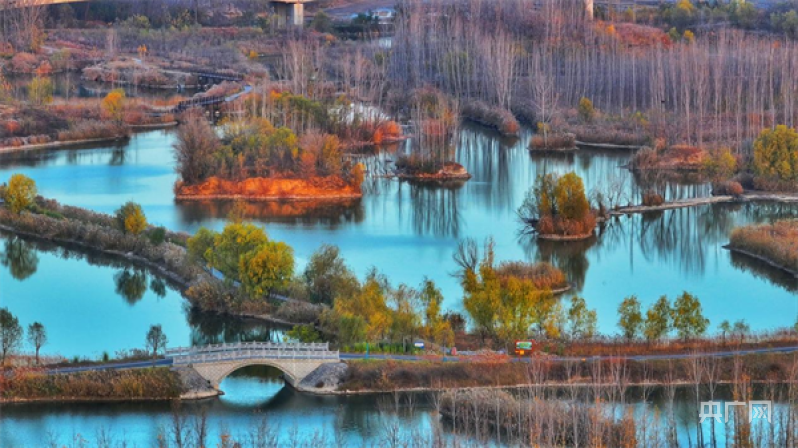洛阳孟津:黄河湿地 风光旖旎_央广网
