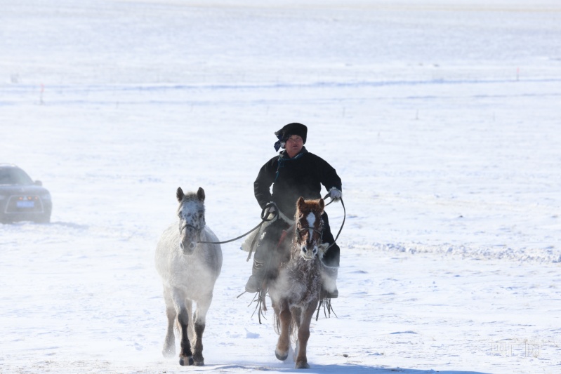 策马奔腾！内蒙古“马超”联赛在阿巴嘎旗站开跑