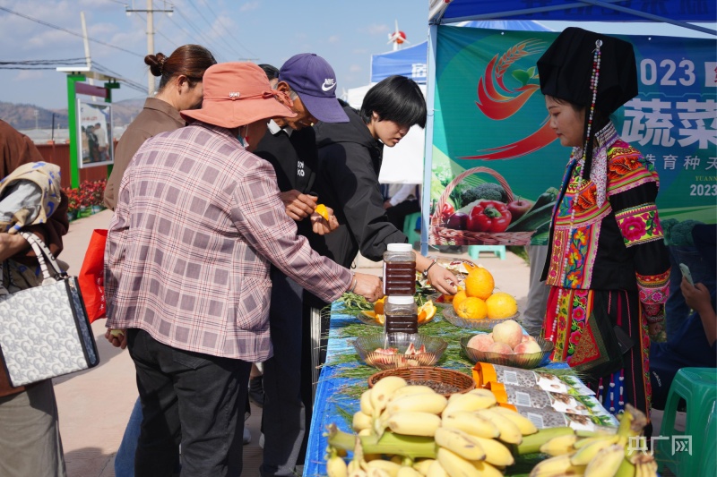 2023云南·元谋第七届蔬菜种业博览会开幕