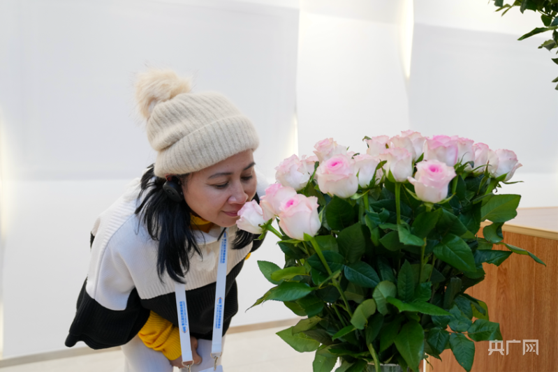 世界媒体峰会参访团探访斗南花卉产业园