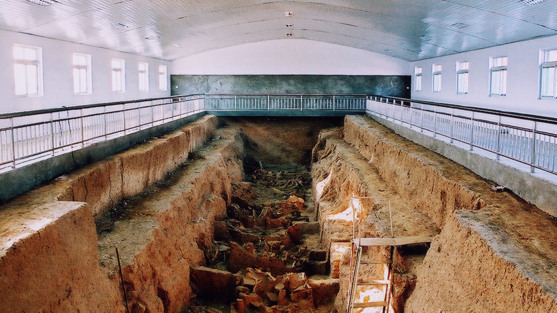 赵王陵2号陵出土的车马坑(邯郸赵王城遗址博物院  供图)马为赵氏发迹