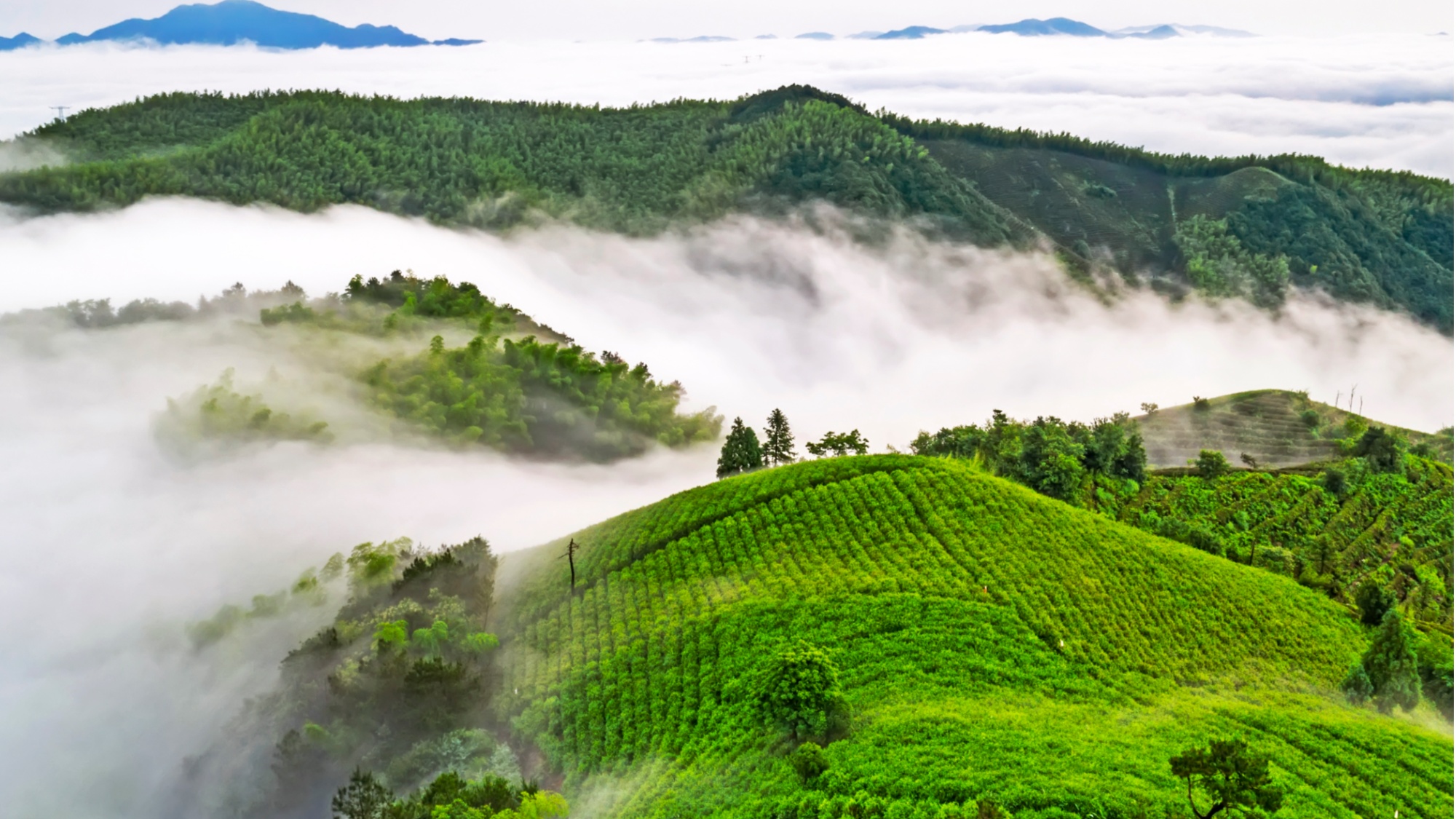 第二十二届中国茶圣节将在径山启幕