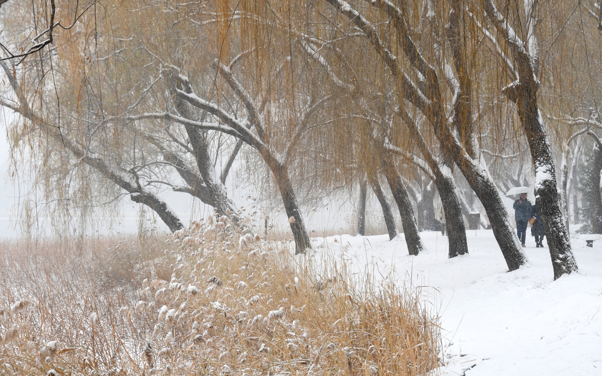 中东部大范围雨雪再登场这场雪还要下多久气象专家解读