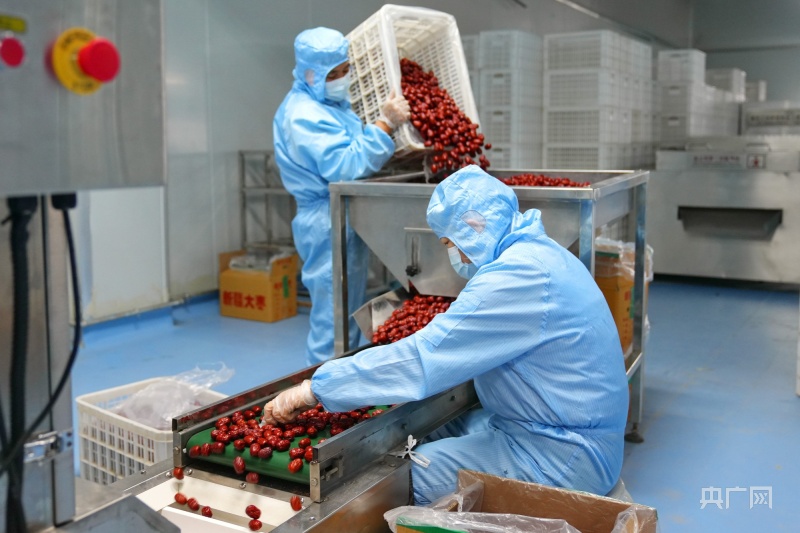 核桃加工产业的现状与未来趋势