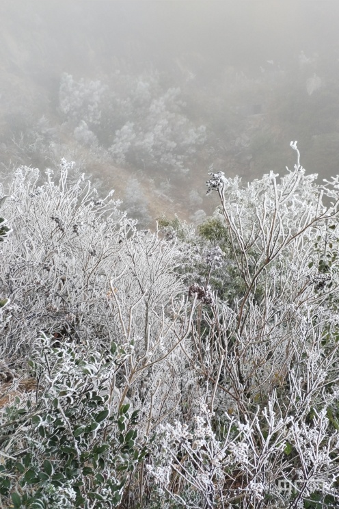 清远大雪图片