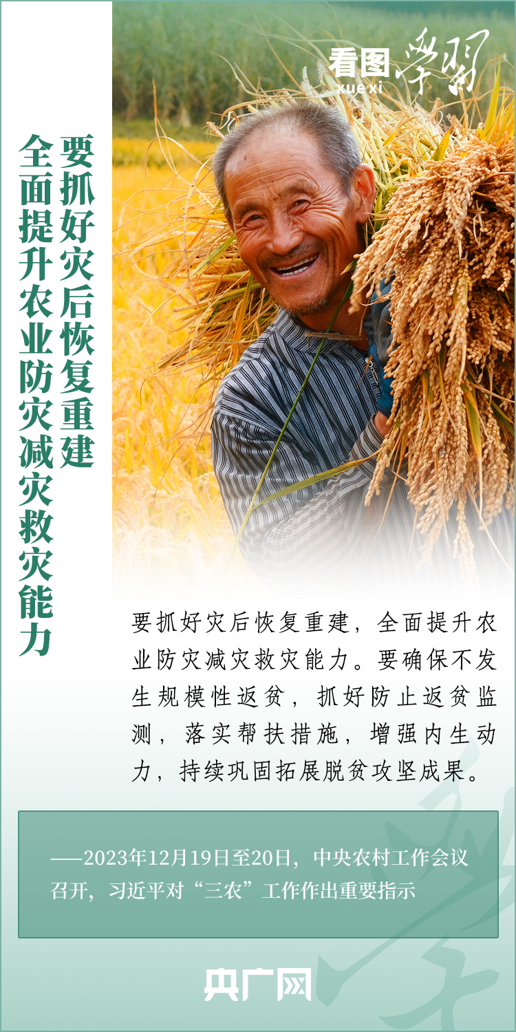 看图学习丨加快农业农村现代化 更好推进中国式现代化建设