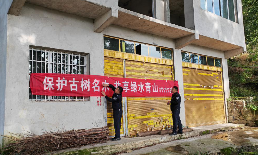 貴州務川保護古樹名木護航綠水青山