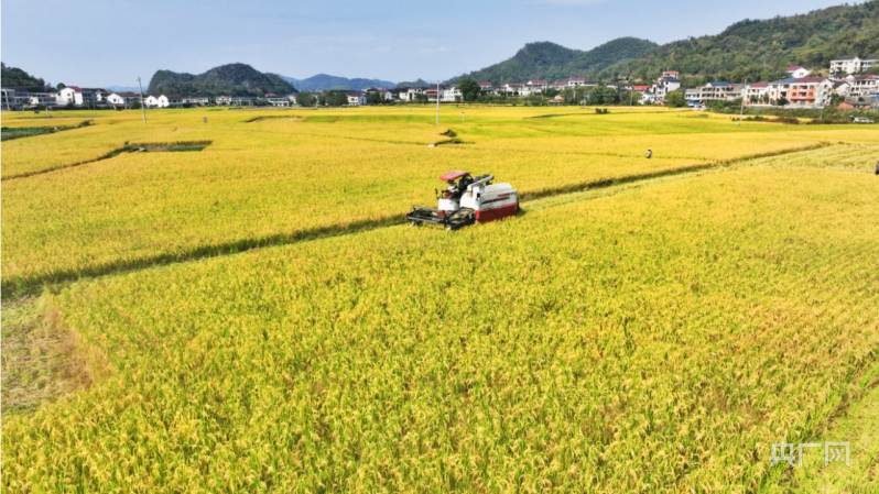 雷火电竞新征程 新样范湖南新邵：托起百姓“稳稳的饭碗”(图1)