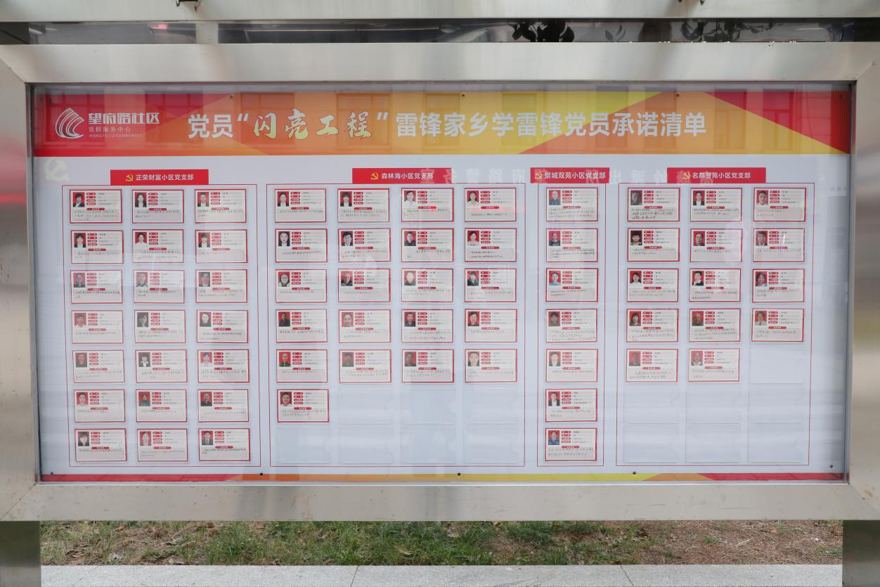 长沙市望城区:党员精准定承诺 基层共治汇合力