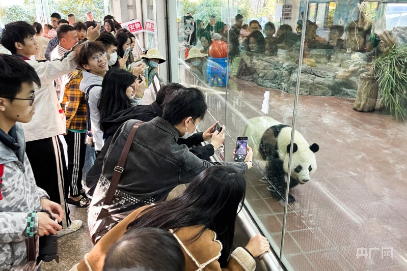 广州动物园拟建成大湾区一流国际动物园