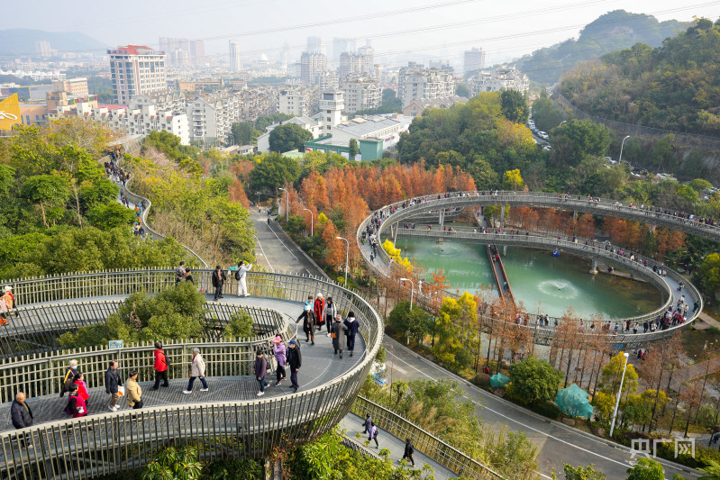 福建福州冬日福道水杉景色引客来