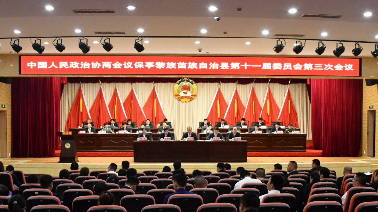 保亭黎族苗族自治县委宣传部供图)会上,保亭县政协主席王文平代表