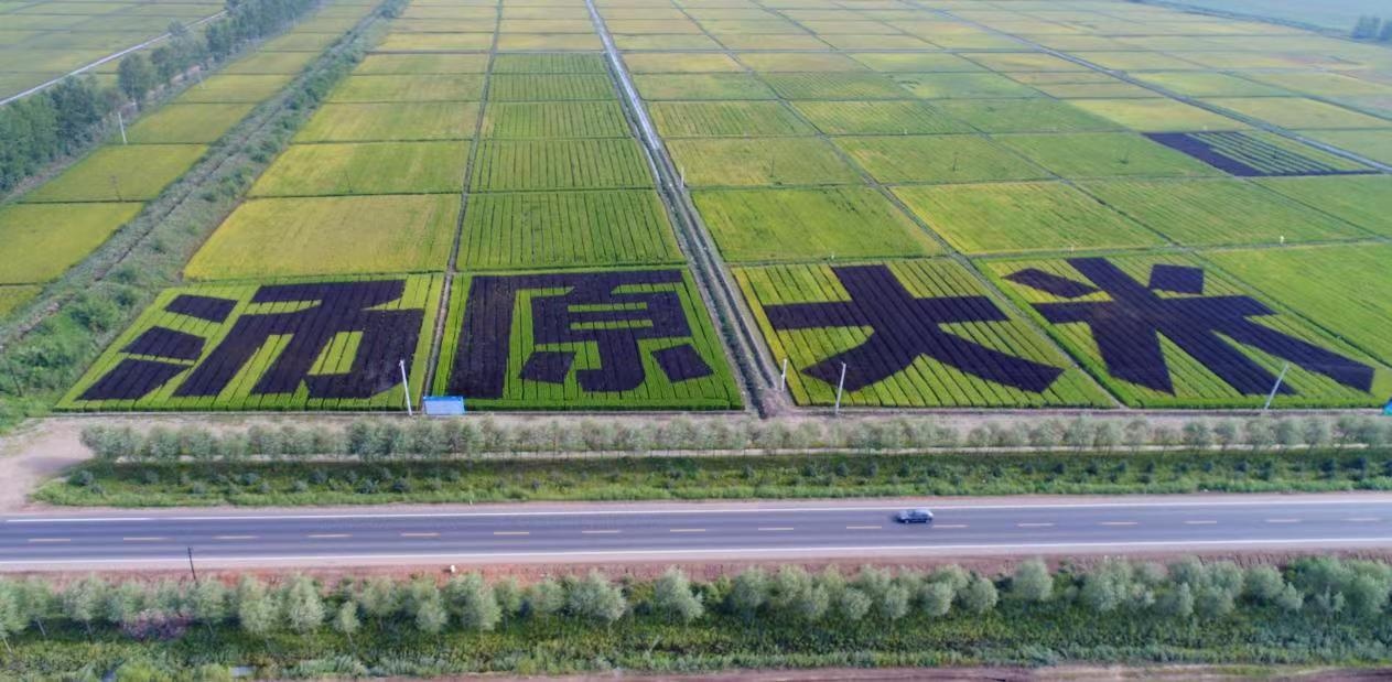 跟著鏡頭游龍江赴湯原與您共敘一段山水情