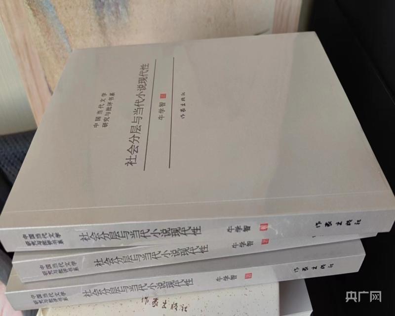 宁夏文学批评出新成果《社会分层与当代小说现代性》