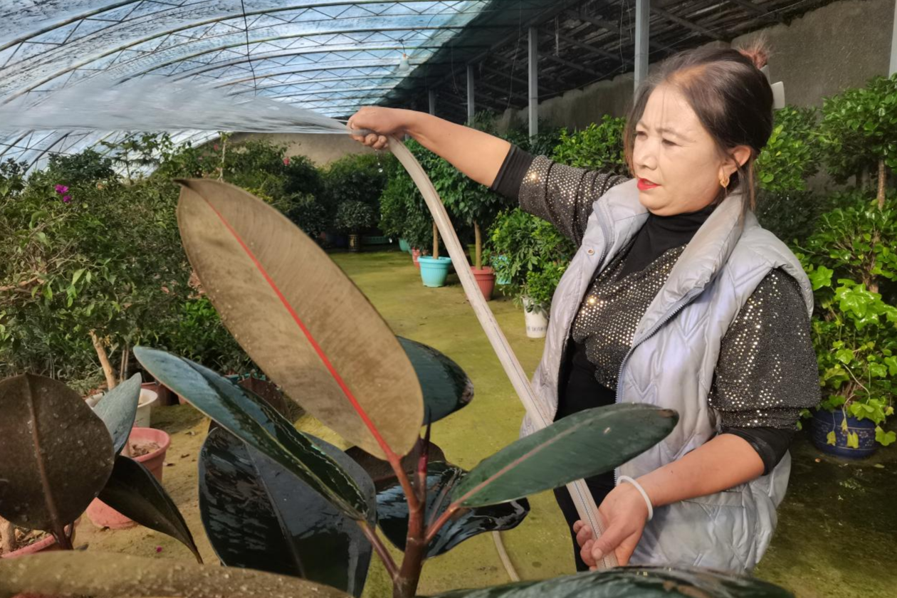 泽普：花卉热销季 小盆栽造出“大风景”(图2)