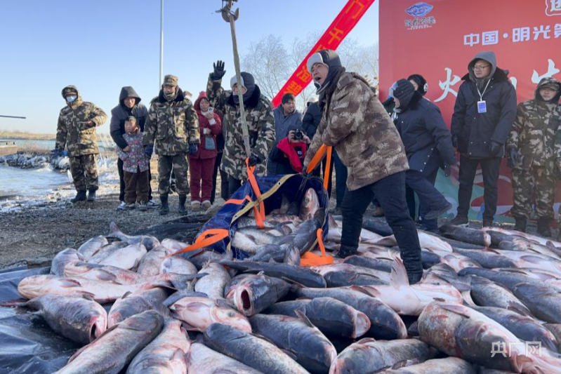 开年看一线丨滁州明光：冬捕来了！鱼跃人欢庆丰年
