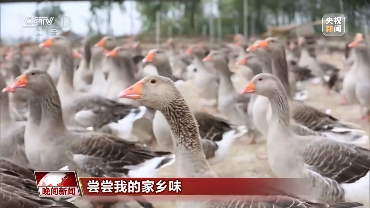 你没看错 这个安徽小镇特产“法式鹅肝” 一起去尝尝→