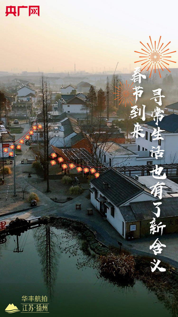 海报 | 扬州生态科技新城:年的味道_央广网