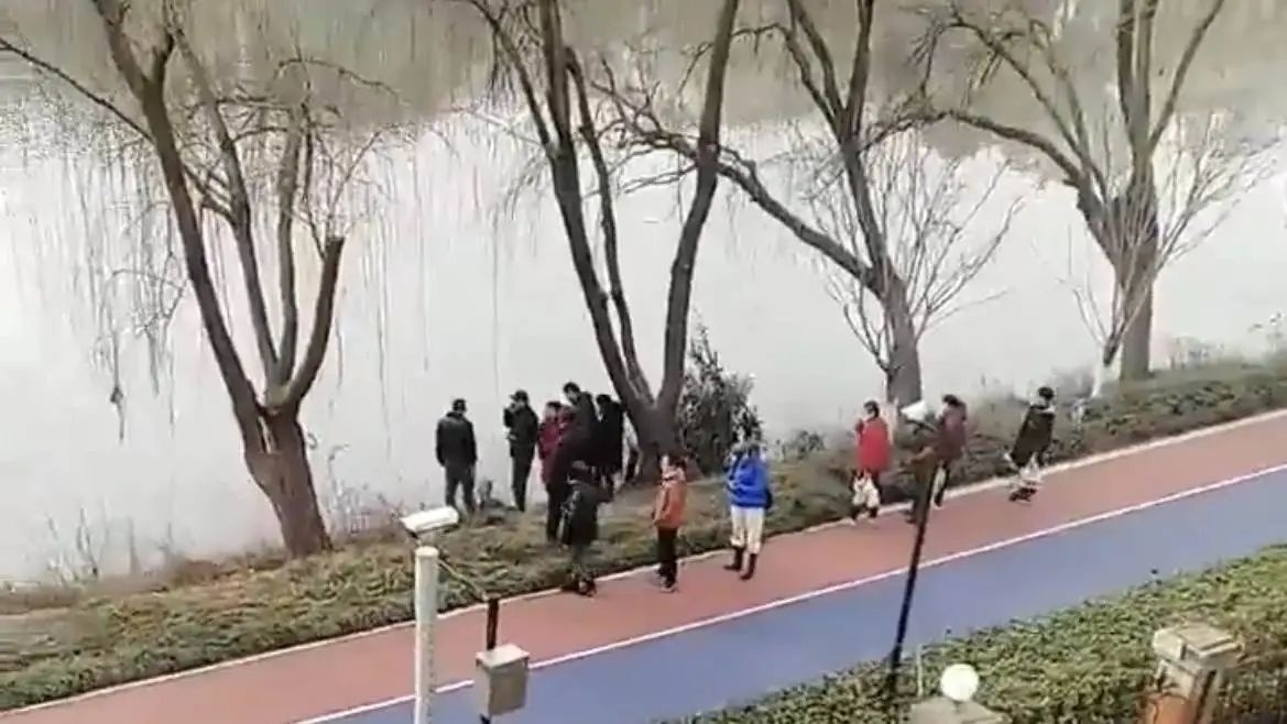 危急时刻！秀洲71岁老人跳入河中救起落水者