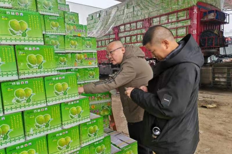 新疆巴州开展“库尔勒香梨”跨区域知识产权保护联合执法行动(图1) 新疆巴州开展“库尔勒香梨”跨区域知识产权保护联合执法行动(图1)