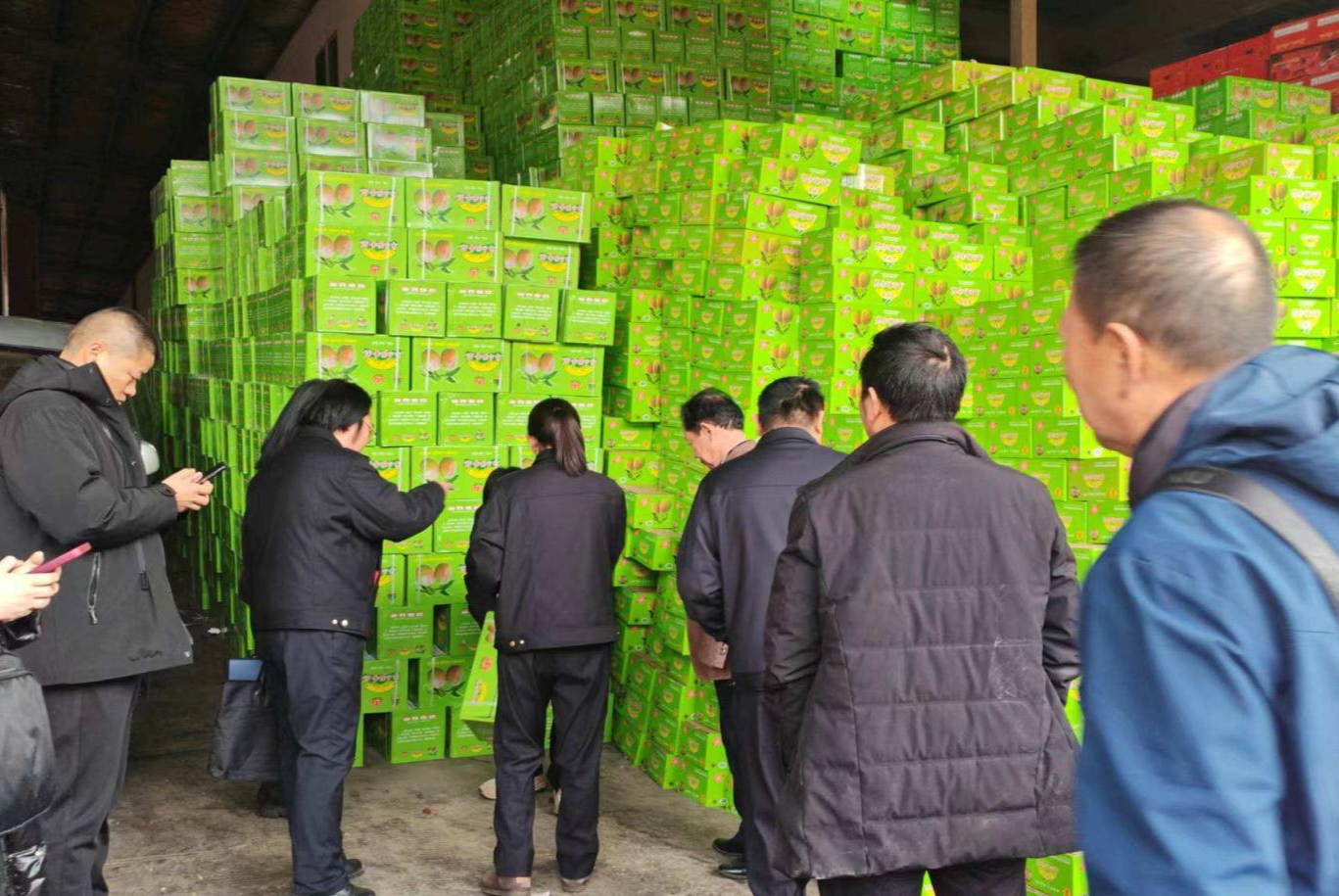 新疆巴州开展“库尔勒香梨”跨区域知识产权保护联合执法行动(图3) 新疆巴州开展“库尔勒香梨”跨区域知识产权保护联合执法行动(图3)