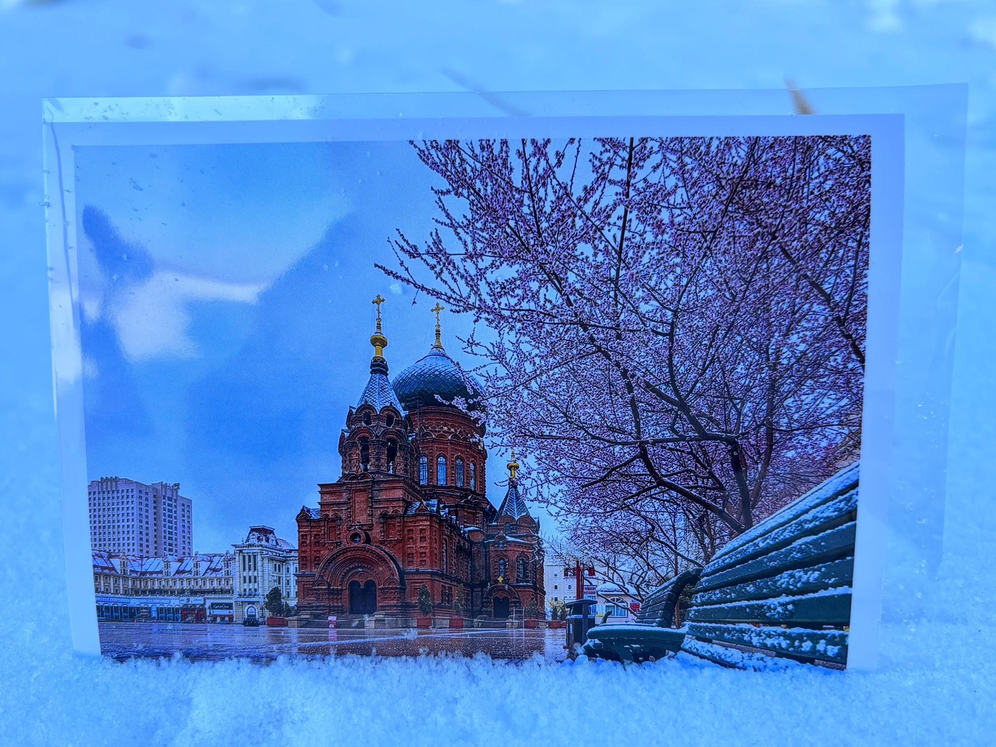 摄影记者拿出了压箱底"大片",设计,制作成"冰城夏都"四季风景明信片.