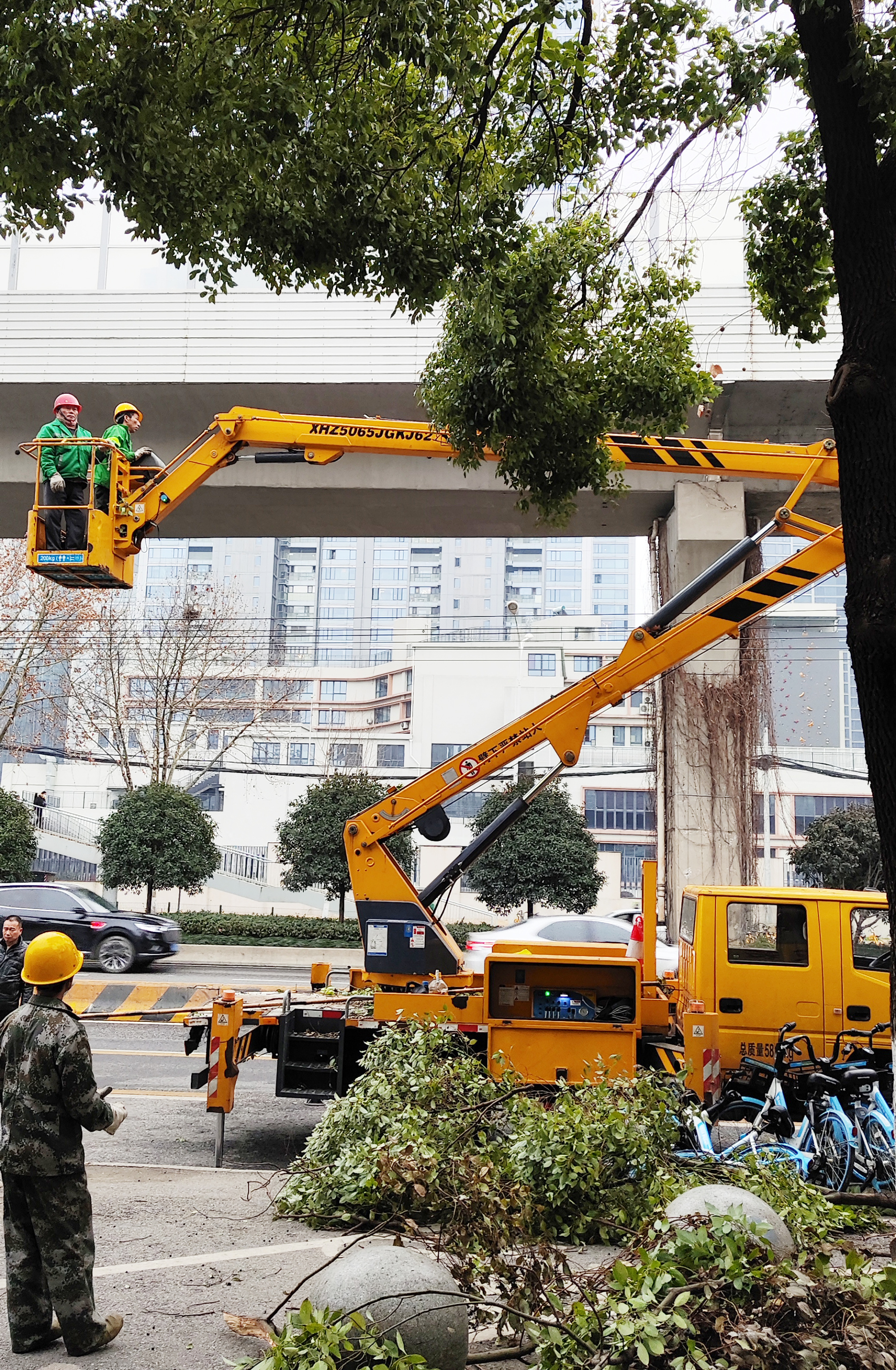 冻雨又将来袭 武汉园林部门提前给树枝“剃头”减负完美电竞(图3)