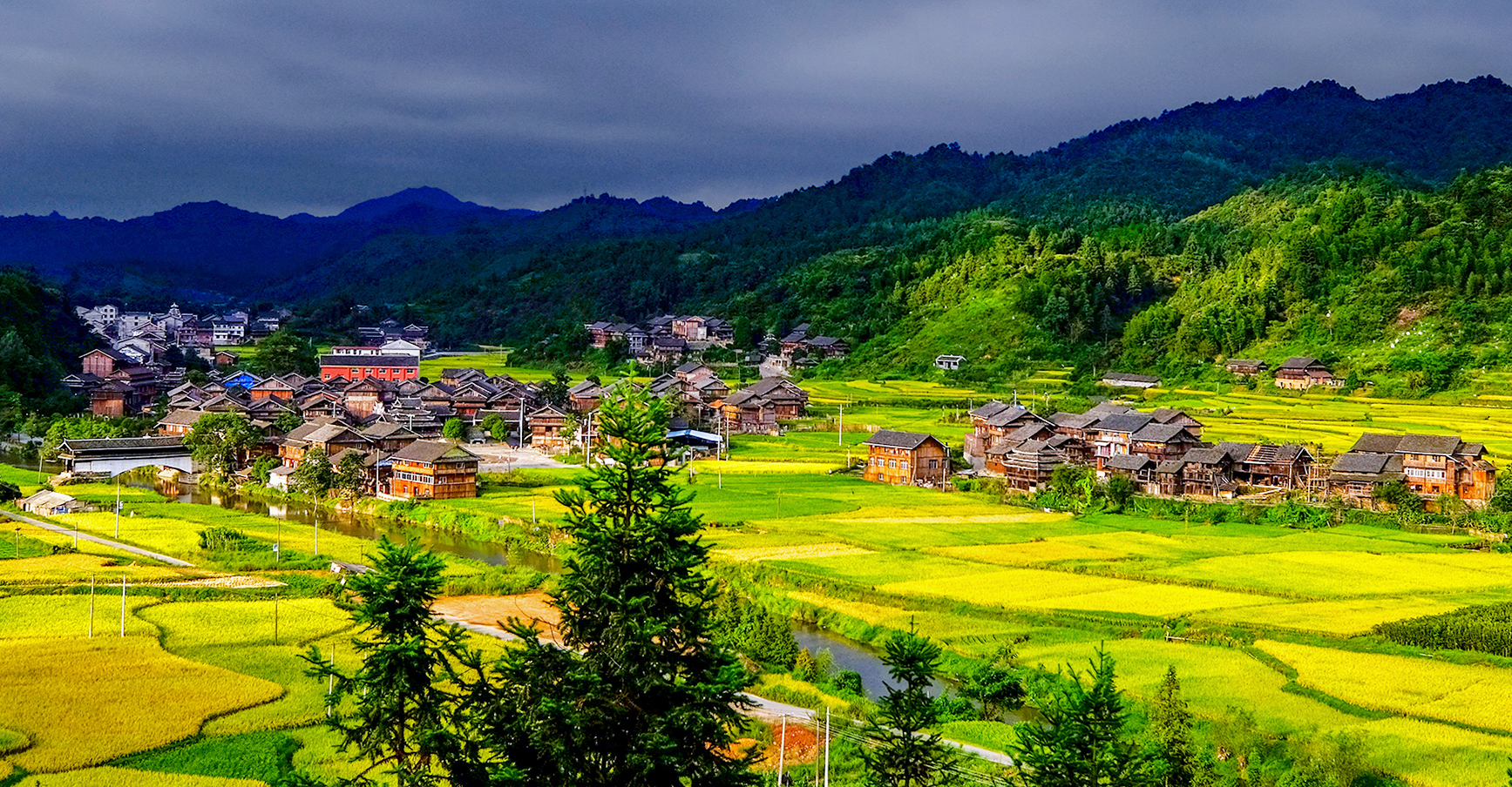 坪坦村属平坝型侗寨,寨子四周是旱涝保收的数百亩坝田,阳春三月油茶