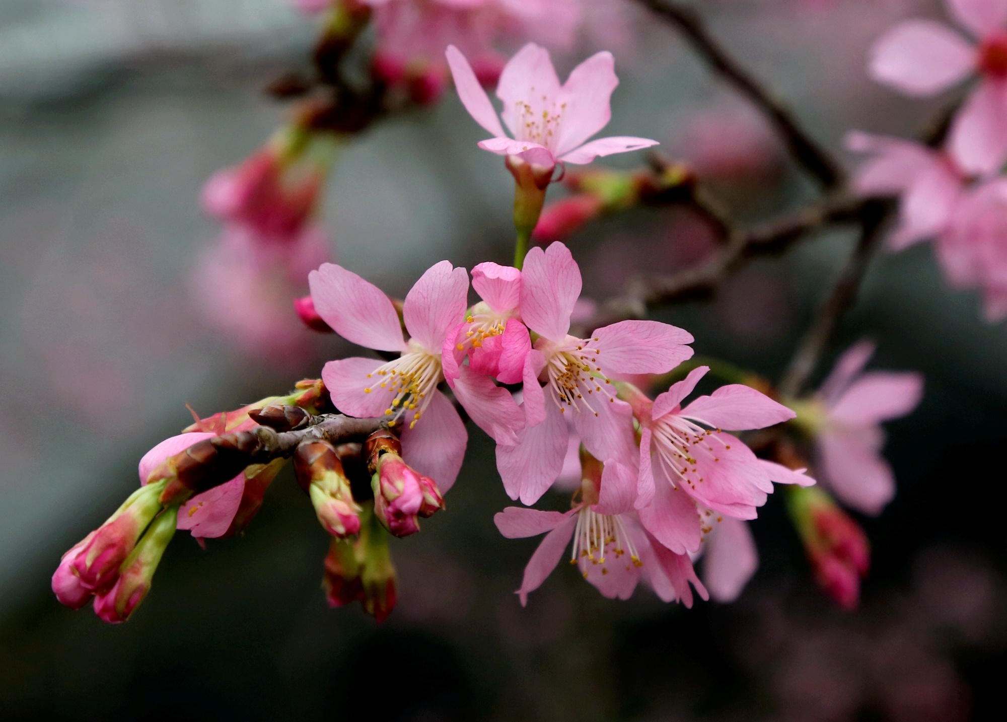 80f931e1b44d7170867620557510691310.jpg?auth=7d4abedd927859b0c1afaddd1747ee02