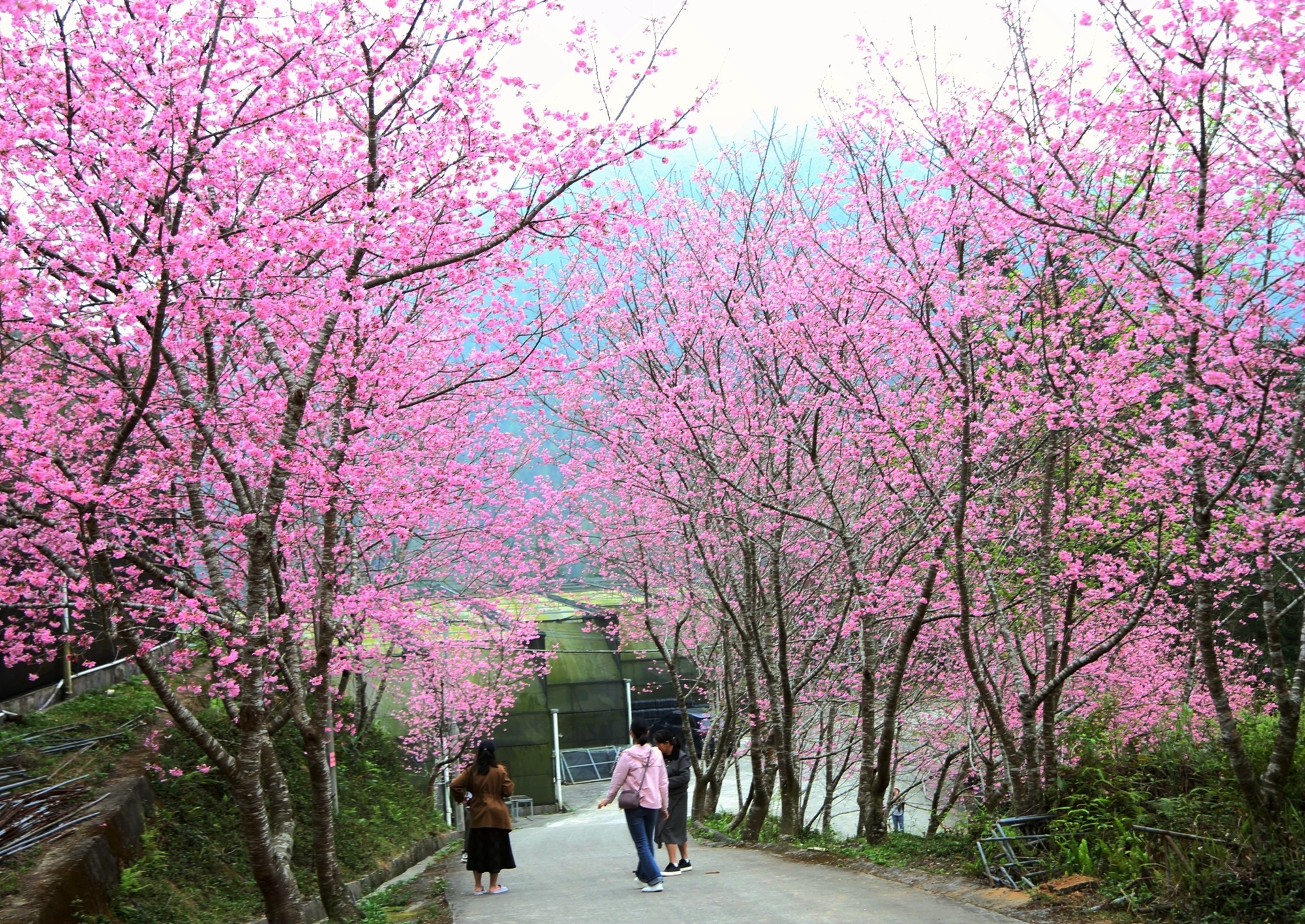 eebaecb10305d170867604006353744410.jpg?auth=b5307b27568a3afc7ea3598284a642ba