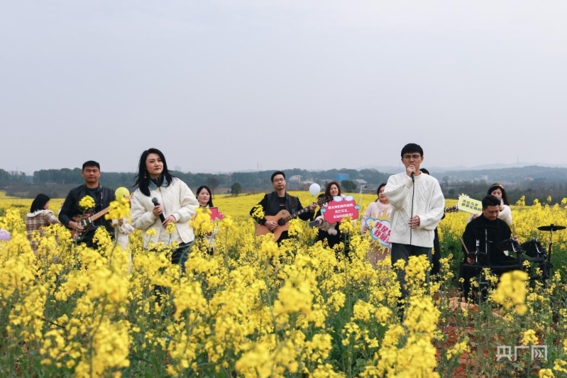 发现春之美 湖南永州 油菜花铺满田野