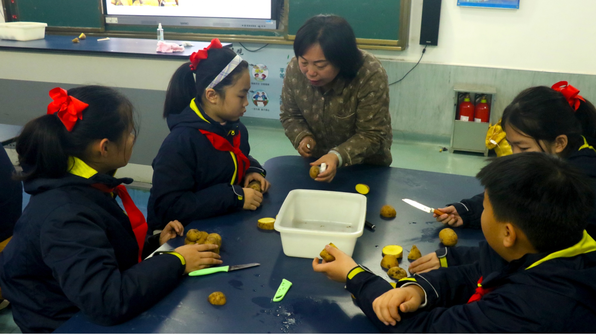 劳动最光荣 农业专家带领武汉中小学生种土豆