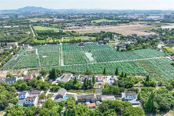 苏州黄埭镇获评“2023年度全市农业农村现代化工作先进集体”(图1)