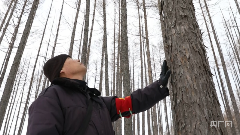 40年守护一片林，王宏峰：我想做一辈子的护林员
