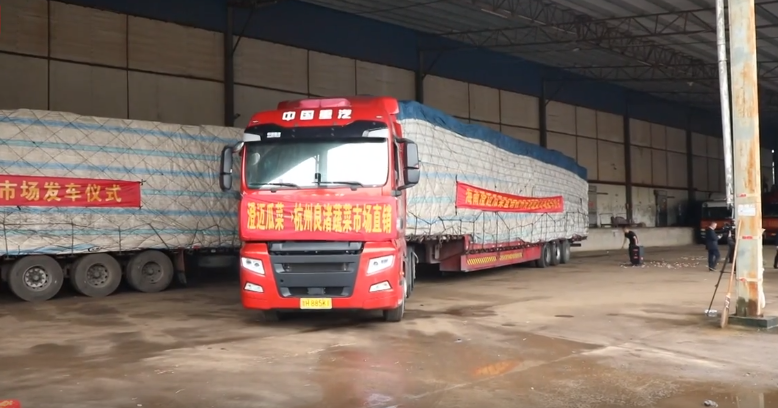 海南澄迈300吨瓜菜发往杭州